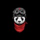 Tee shirt Panda biker noir