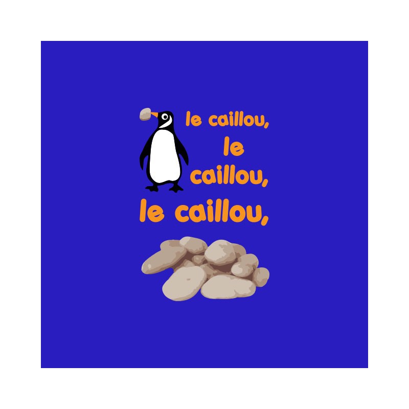 Tee Shirt Pingouin Et Cailloux Bleu