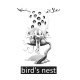 white shirt bird nest