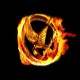 black tee shirt hunger game