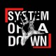 tee shirt system of a down rare noir