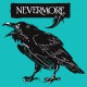 Nevermore t-shirt light blue