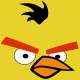 shirt angry birds yellow