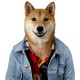 tee shirt menswear dog white