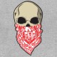 own skull bandana and gray heath