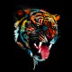 Tiger t-shirt design black art