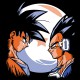 tee shirt goku and vegeta noir shirt