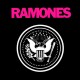 tee shirt ramones flashy