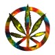 tee shirt marijuana rainbow