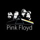 tee shirt pink floyd vintage special